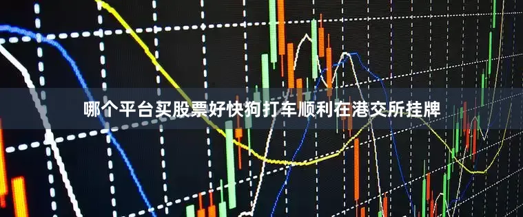 哪个平台买股票好快狗打车顺利在港交所挂牌