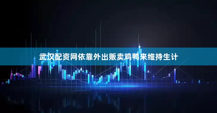 武汉配资网依靠外出贩卖鸡鸭来维持生计