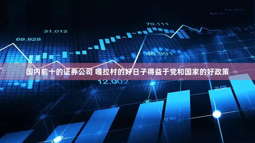 国内前十的证券公司 嘎拉村的好日子得益于党和国家的好政策