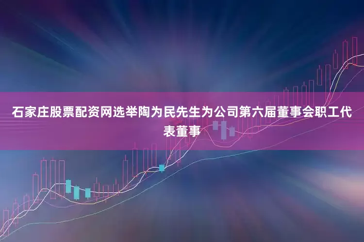 石家庄股票配资网选举陶为民先生为公司第六届董事会职工代表董事